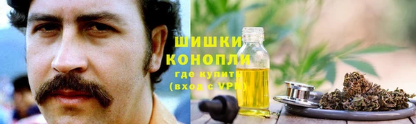 молекула духа Карпинск