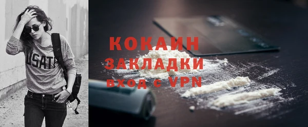 молекула духа Карпинск