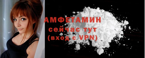 молекула духа Карпинск