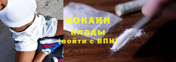 молекула духа Карпинск