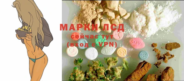 молекула духа Карпинск