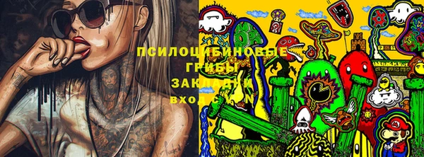 молекула духа Карпинск