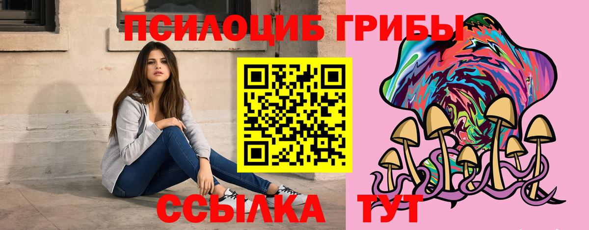 Псилоцибиновые грибы Psilocybe Миасс