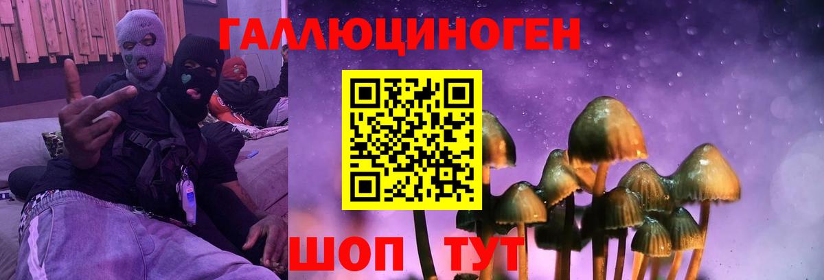 Миасс  Галлюциногенные грибы мицелий  Псилоцибиновые грибы GOLDEN TEACHER  Вход с VPN 