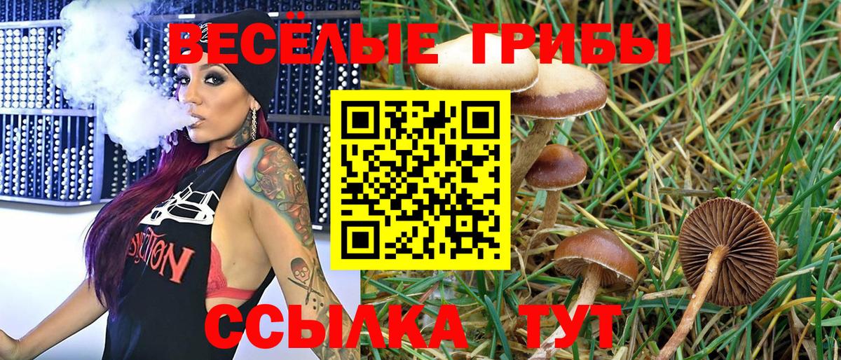 Галлюциногенные грибы мицелий Миасс